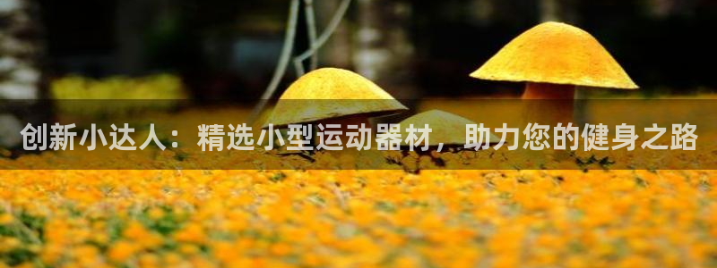 fb体育开户:创新小达人:精选小型运动器材,助力您的健身之路
