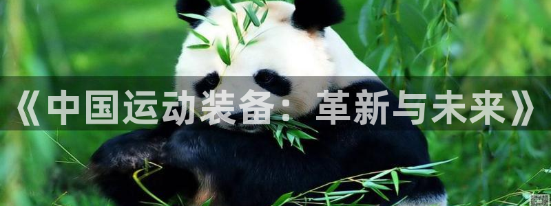 fb体育平台注册要钱吗是真的吗:《中国运动装备:革新与未来》